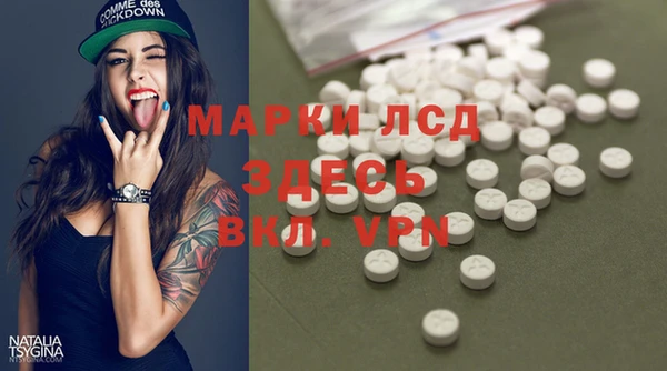 прущие грибы Покров