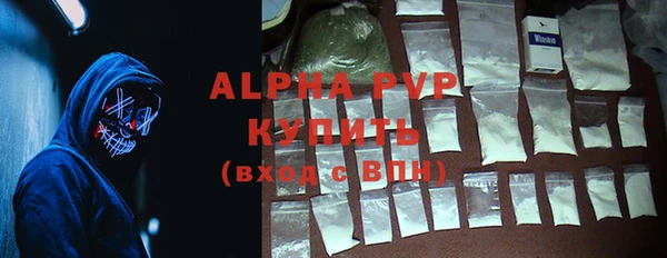 прущие грибы Покров