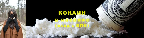 прущие грибы Покров