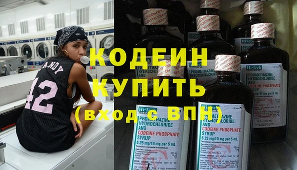прущие грибы Покров