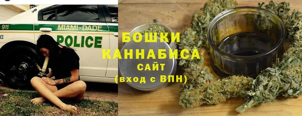 прущие грибы Покров