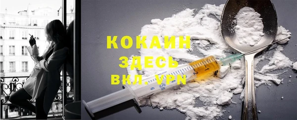 прущие грибы Покров