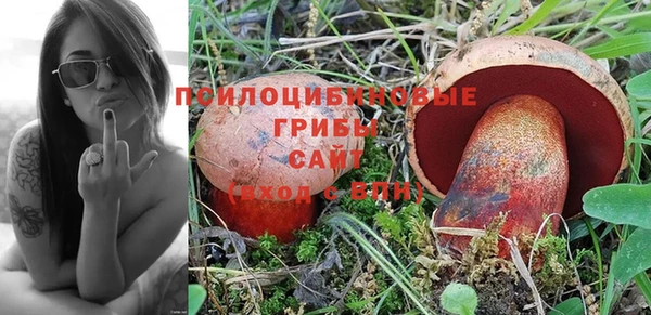ешки Покачи