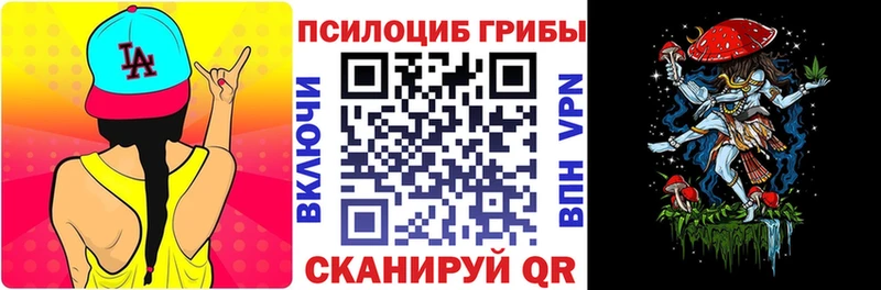 Галлюциногенные грибы Psilocybine cubensis  Торжок 