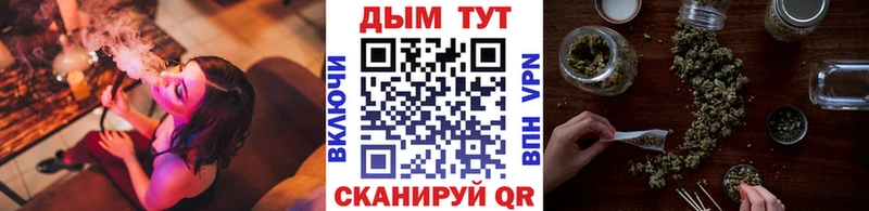 купить наркоту  Торжок  Марихуана сатива 